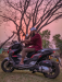 Longjia xsdv 150